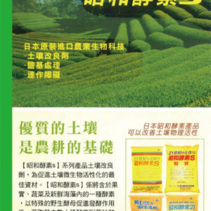 昭和酵素S